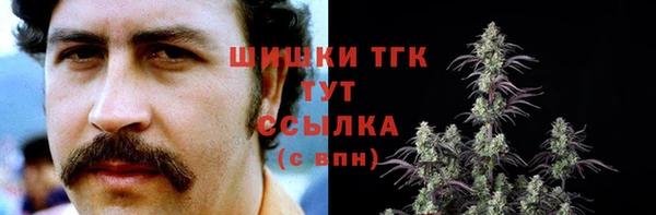 крисы Гусь-Хрустальный