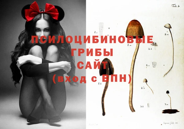круглые Горно-Алтайск